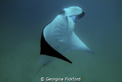 Eye contact by Georgina Pickford 